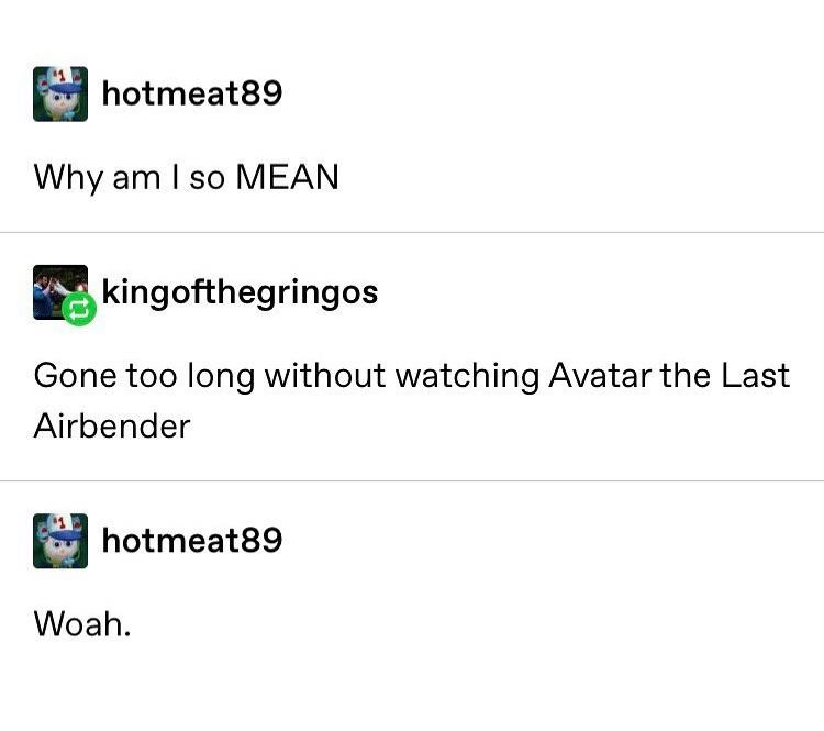 Why am I so MEAN? Too long without watching Avatar The Last Airbender - Tumblr meme
