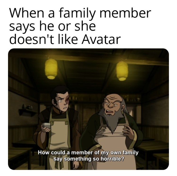 When a family member doesnt like ATLA meme