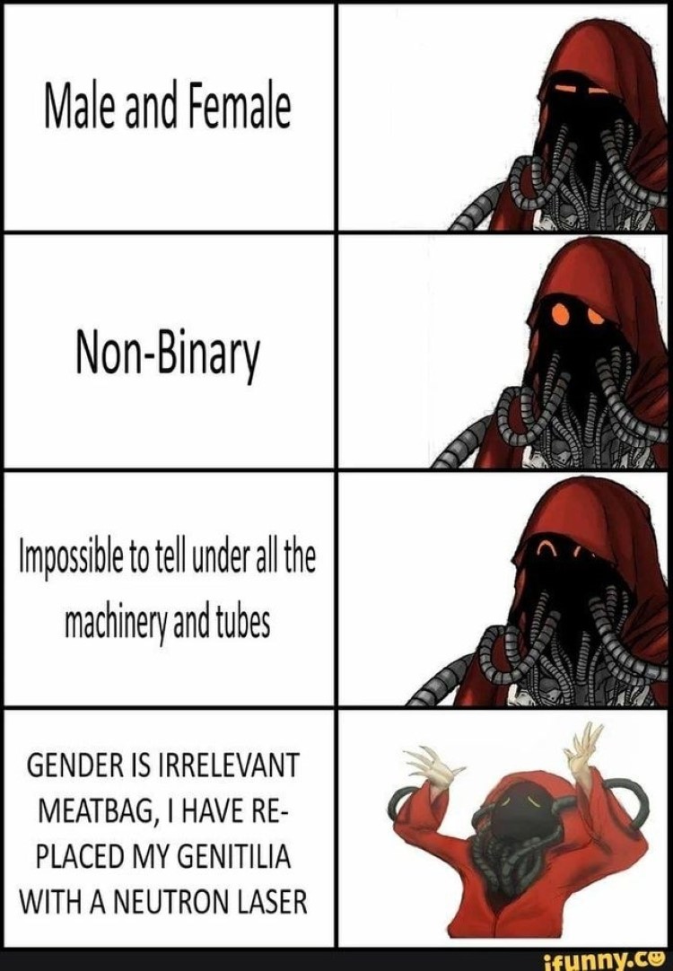 Male and female vs non-binary meme